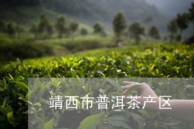 靖西市普洱茶产区/2023041306260