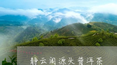 静云阁源头普洱茶/2023031778262