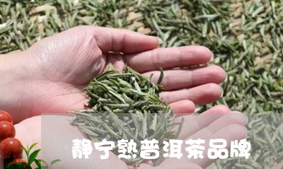 静宁熟普洱茶品牌/2023040938169