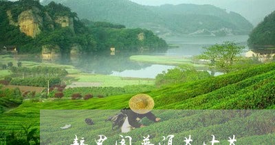 静思阁普洱茶生茶/2023041160514