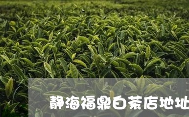 静海福鼎白茶店地址在哪/2023032906060