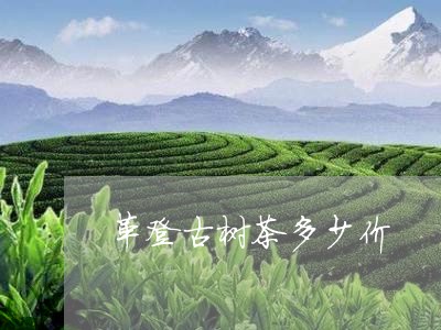 革登古树茶多少价/2023032624815