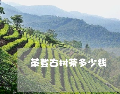 革登古树茶多少钱/2023032673824