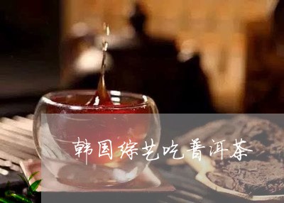 韩国综艺吃普洱茶/2023031745947