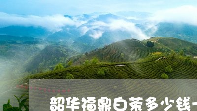 韶华福鼎白茶多少钱一斤/2023032970614