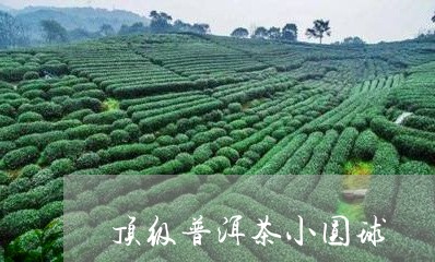 顶级普洱茶小圆球/2023041207361