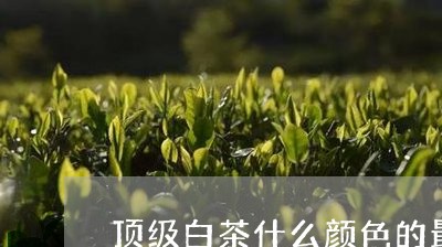 顶级白茶什么颜色的最好/2023032918069