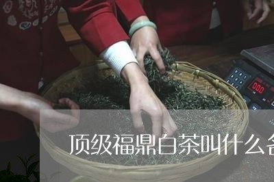 顶级福鼎白茶叫什么名字/2023032985949