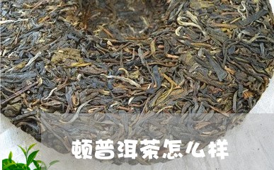 顿普洱茶怎么样/2023033181059