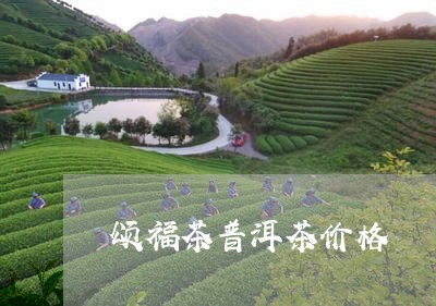 颂福茶普洱茶价格/2023041157361