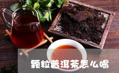 颗粒普洱茶怎么喝/2023040998693