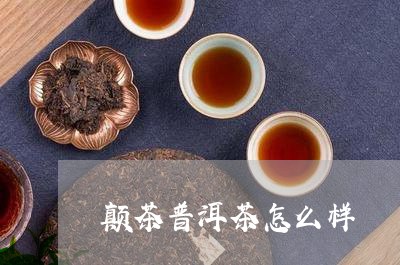 颠茶普洱茶怎么样/2023031626269