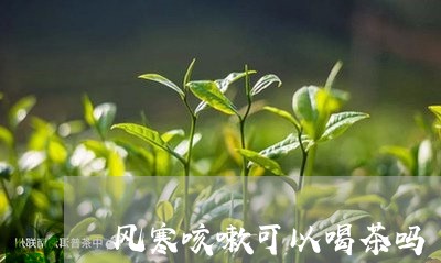 风寒咳嗽可以喝茶吗/2023041684927