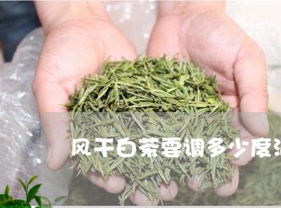 风干白茶要调多少度泡好/2023033007260