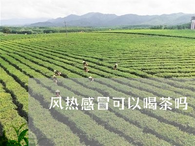 风热感冒可以喝茶吗/2023041666160