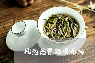 风热感冒能喝茶吗/2023032565139