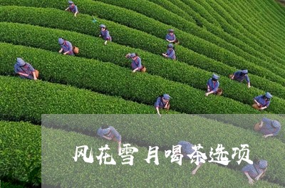 风花雪月喝茶选项/2023032506472