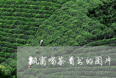 飘窗喝茶看书的图片/2023041661484