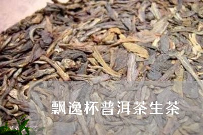 飘逸杯普洱茶生茶/2023041105148