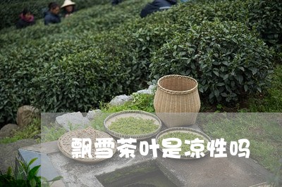 飘雪茶叶是凉性吗/2023032635070