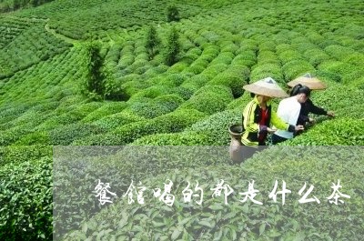 餐馆喝的都是什么茶/2023041517160