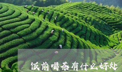 饭前喝茶有什么好处/2023032047470