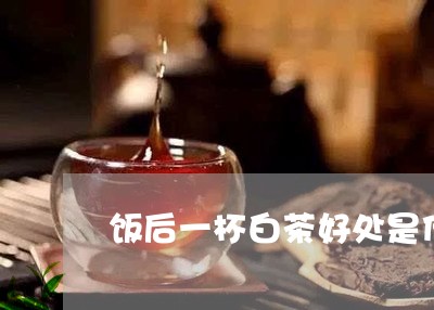 饭后一杯白茶好处是什么/2023033048360