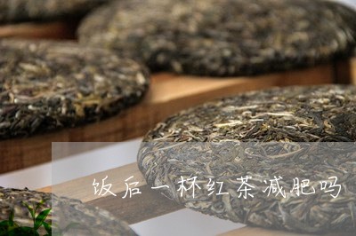 饭后一杯红茶减肥吗/2023031850490