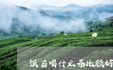 饭后喝什么茶比较好/2023031975051