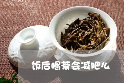 饭后喝茶会减肥么/2023032541505