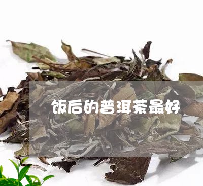 饭后的普洱茶最好/2023040970683