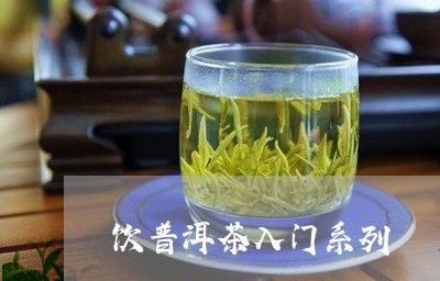 饮普洱茶入门系列/2023041037252