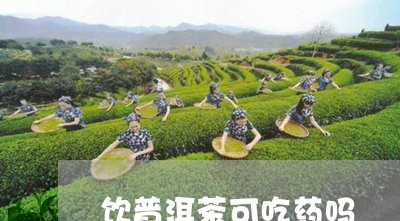 饮普洱茶可吃药吗/2023040179693