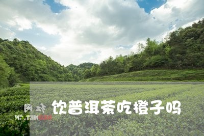 饮普洱茶吃橙子吗/2023041262514