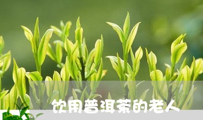 饮用普洱茶的老人/2023041212793