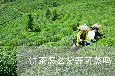 饼茶怎么分开可蒸吗/2023041670826