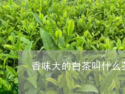 香味大的白茶叫什么茶名/2023033039492