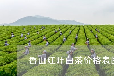 香山红叶白茶价格表图片/2023033019404