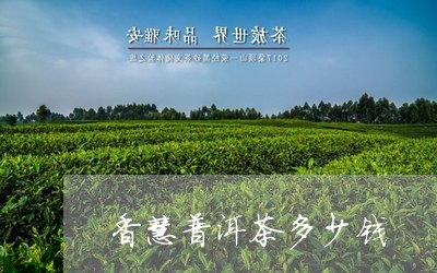 香慧普洱茶多少钱/2023033155170