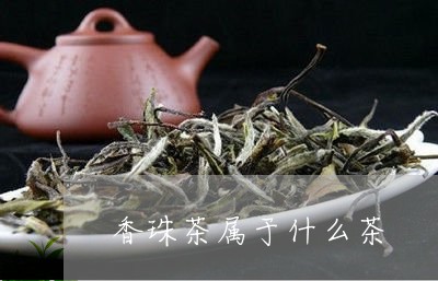 香珠茶属于什么茶/2023032440602