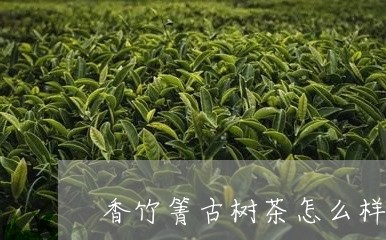 香竹箐古树茶怎么样/2023032282936