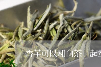 香芋可以和白茶一起煮吗/2023033001746