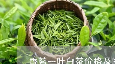 香茗一叶白茶价格及图片/2023033030693