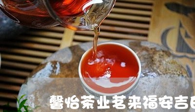 馨怡茶业茗来福安吉白茶/2023033070693