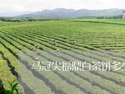 马冠尖福鼎白茶饼多少钱/2023033006947