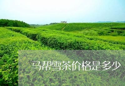 马帮雪茶价格是多少/2023032115960