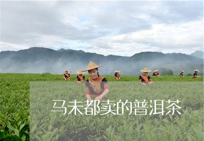 马未都卖的普洱茶/2023033148282