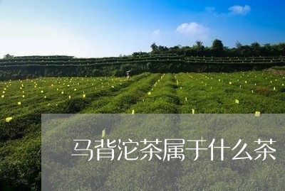 马背沱茶属于什么茶/2023032139583