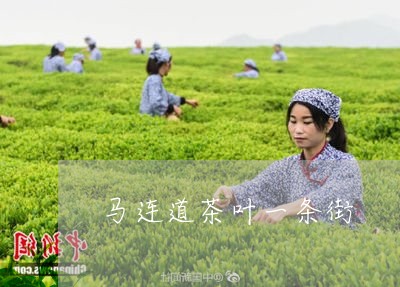 马连道茶叶一条街/2023032606150