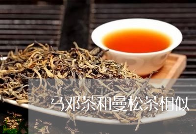 马邓茶和曼松茶相似/2023041481605